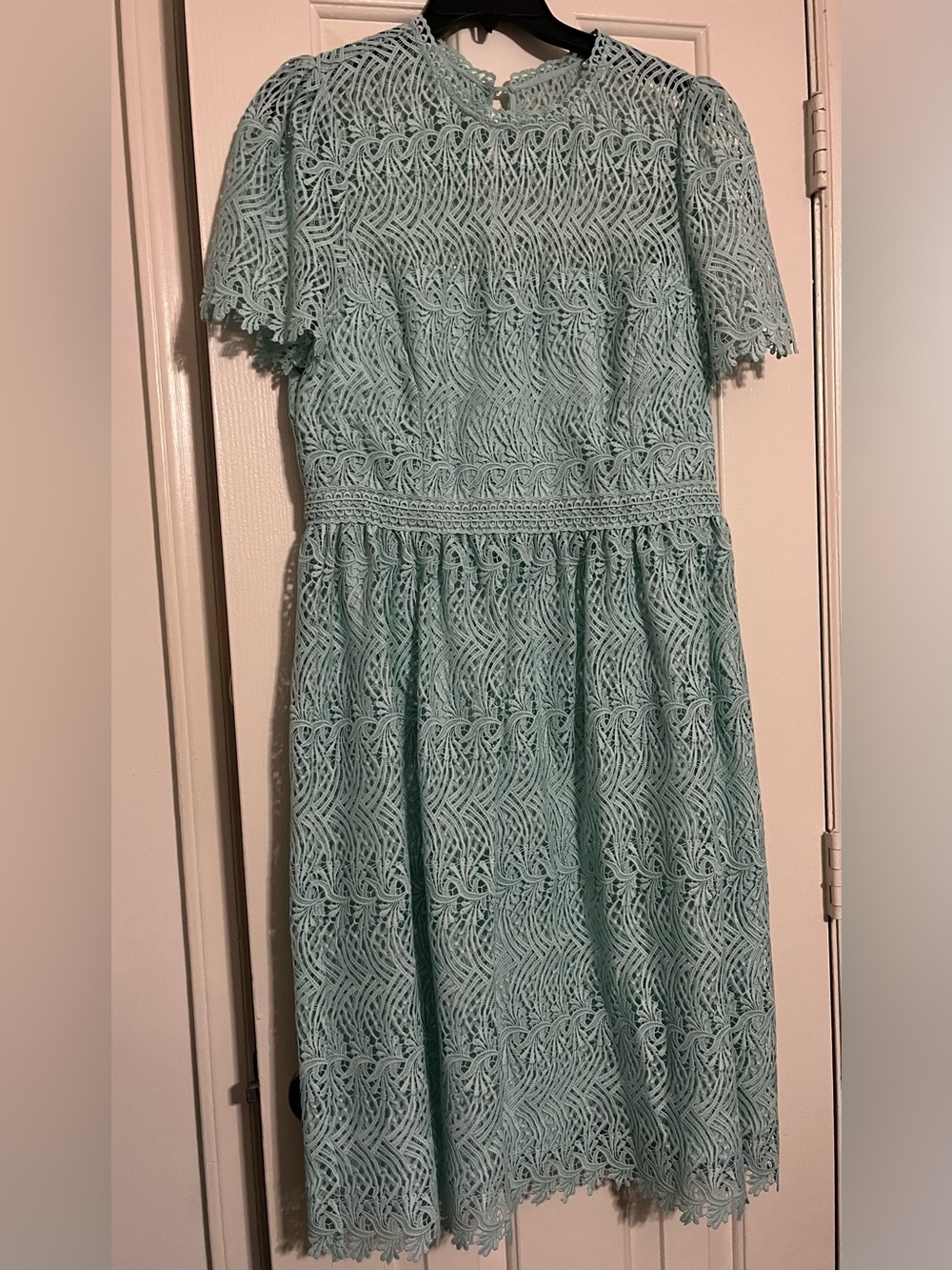 Antonio Melani Mint Lace Dress - Elegant Party Dress